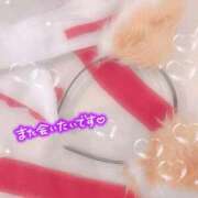 ヒメ日記 2025/11/16 18:06 投稿 はづき 横浜ひよこ倶楽部