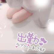 ヒメ日記 2026/01/24 10:46 投稿 はづき 横浜ひよこ倶楽部