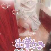 ヒメ日記 2026/01/31 17:06 投稿 はづき 横浜ひよこ倶楽部