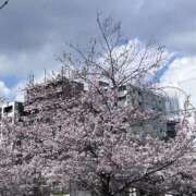 ヒメ日記 2026/03/27 15:29 投稿 はづき 横浜ひよこ倶楽部