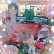 ヒメ日記 2025/04/16 12:19 投稿 ひなこ ステキなエステは好きですか？