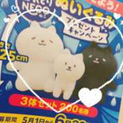 ヒメ日記 2025/06/30 23:03 投稿 ひなこ ステキなエステは好きですか？