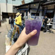 ヒメ日記 2025/07/12 09:27 投稿 らいか YESグループ TSUBAKI FIRST