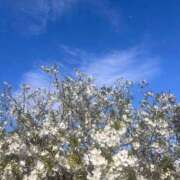 まなみ ごめんなさい💦 新小岩デリヘル ラブセレクション