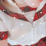 ヒメ日記 2025/02/26 11:24 投稿 ゆづ 石庭