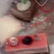 ヒメ日記 2025/02/26 14:38 投稿 ゆづ 石庭