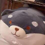 ヒメ日記 2025/02/26 14:54 投稿 ゆづ 石庭