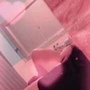 ヒメ日記 2025/03/05 22:40 投稿 ゆづ 石庭