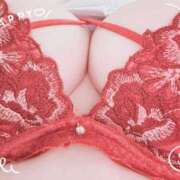 ヒメ日記 2025/03/06 10:00 投稿 ゆづ 石庭