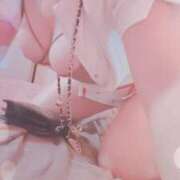 ヒメ日記 2025/03/11 15:12 投稿 ゆづ 石庭