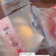 ヒメ日記 2025/03/17 12:36 投稿 ゆづ 石庭