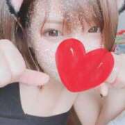 ヒメ日記 2025/03/24 13:30 投稿 ゆづ 石庭