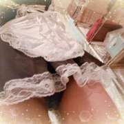 ヒメ日記 2025/04/24 11:53 投稿 ゆづ 石庭