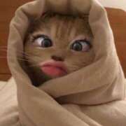 ヒメ日記 2025/05/16 23:31 投稿 ゆづ 石庭