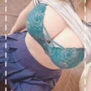 ヒメ日記 2025/05/29 11:50 投稿 ゆづ 石庭