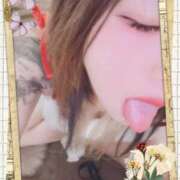 ヒメ日記 2025/07/06 10:10 投稿 ゆづ 石庭