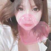 ヒメ日記 2025/08/12 09:29 投稿 ゆづ 石庭