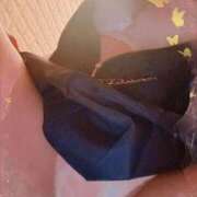 ヒメ日記 2025/10/15 16:50 投稿 ゆづ 石庭