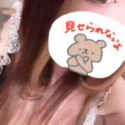 ヒメ日記 2025/10/17 12:21 投稿 ゆづ 石庭