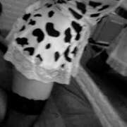 ヒメ日記 2025/11/04 18:40 投稿 ゆづ 石庭