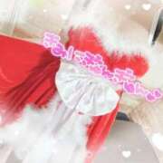 ヒメ日記 2025/12/14 18:20 投稿 ゆづ 石庭