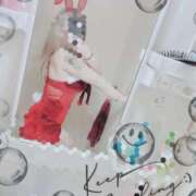 ヒメ日記 2025/12/18 10:50 投稿 ゆづ 石庭