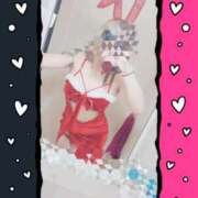 ヒメ日記 2025/12/19 10:30 投稿 ゆづ 石庭