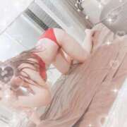 ヒメ日記 2025/12/19 17:44 投稿 ゆづ 石庭