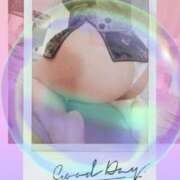 ヒメ日記 2026/01/07 14:55 投稿 ゆづ 石庭