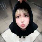 ヒメ日記 2026/01/28 09:50 投稿 ゆづ 石庭