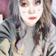 ヒメ日記 2026/02/24 11:10 投稿 ゆづ 石庭