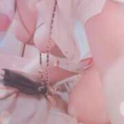 ヒメ日記 2026/04/21 08:02 投稿 ゆづ 石庭