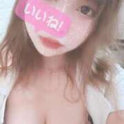 ヒメ日記 2026/04/22 13:00 投稿 ゆづ 石庭