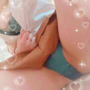 ヒメ日記 2026/05/20 11:30 投稿 ゆづ 石庭