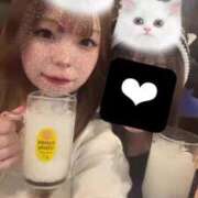 ヒメ日記 2025/02/26 17:34 投稿 アン 石庭