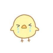 ヒメ日記 2025/03/01 20:00 投稿 アン 石庭