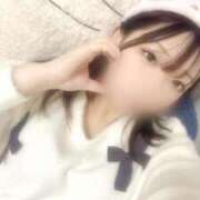 ヒメ日記 2025/04/24 23:51 投稿 アン 石庭