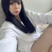 ヒメ日記 2025/04/25 20:22 投稿 アン 石庭