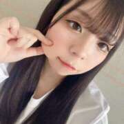 ヒメ日記 2025/04/27 23:50 投稿 アン 石庭