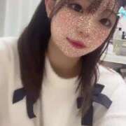 ヒメ日記 2025/04/29 17:22 投稿 アン 石庭