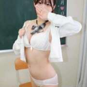 ヒメ日記 2025/04/29 18:20 投稿 アン 石庭