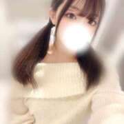 ヒメ日記 2025/05/01 22:40 投稿 アン 石庭