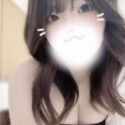 ヒメ日記 2025/05/04 17:21 投稿 アン 石庭