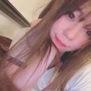 ヒメ日記 2025/06/06 17:20 投稿 アン 石庭