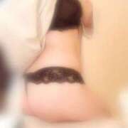 ヒメ日記 2025/06/12 17:44 投稿 アン 石庭