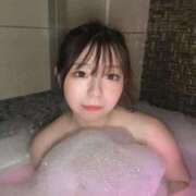 ヒメ日記 2025/06/25 20:03 投稿 アン 石庭