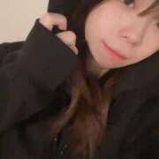 ヒメ日記 2025/07/22 00:00 投稿 アン 石庭