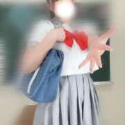 ヒメ日記 2025/07/24 10:04 投稿 アン 石庭