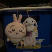 ヒメ日記 2025/07/26 12:31 投稿 アン 石庭