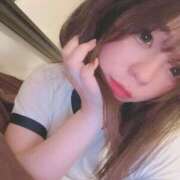 ヒメ日記 2025/08/09 22:20 投稿 アン 石庭